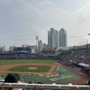 수원KT위즈파크 320구역 1열 시야제한석 후기(먹거리/포장)