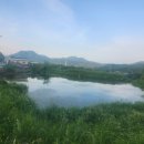 부산종합터미널 이미지