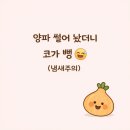 황소아과의원 | 아이 감기 코막힘에 양파 민간요법? 밤에 머리맡에 두는 이유