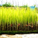 더불어농장 이미지