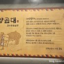 부평맛집양곱대금돼지