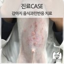 현동물병원 - 동구 남문로 730 | 현동물병원
