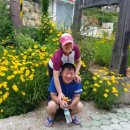 서산대사 옛길 이미지