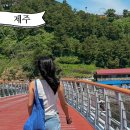 천지연무태장어천지연 | 제주 천지연폭포 새연교 지도 제주도 폭포 시간 가는길 주차