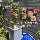 아이스비스킷강릉점 | 강릉 명주동 카페 추천 | 비주얼 귀여운 요즘 감성카페 평탄