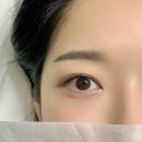 촤르르래쉬 | 강남자연스러운속눈썹연장 비올래쉬 언더래쉬 후기