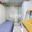 스테이아우룸