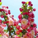 윤피부사랑 이미지