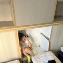 유호세탁 이미지