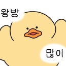 지니스안경 군산수송점 이미지