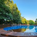 어린이대공원수영장 이미지