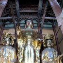 광장26호 | &lt;전라북도의 보물창고, 김제시 모악산 금산사&gt;