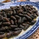 신장금옥 이미지