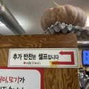 서천꽃돼지 이미지