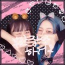 헬로펫 여수 | 良い一日になってください。