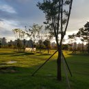 호미골체육공원 이미지