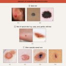 평화동-02 이미지