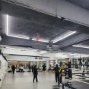 챔피언이직접지도하는킥복싱무에타이MWGYM