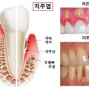 예스치과의원 이미지