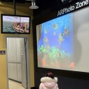 진포해양테마공원 내 | 군산진포해양테마공원 실내 군함 영유아 방문 후기｜겨울 실내 코스