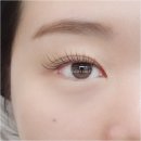 살롱에이블 | 범계 속눈썹 관리, 래쉬 에이블에서 받은 완벽한 손길 후기