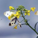 숲내음공원 이미지