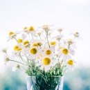 (주) 세온행정사 사무소 이미지