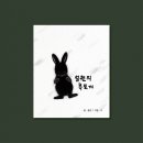 솔진이네