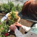 복채농장 이미지