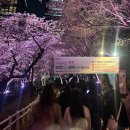저녁에 동네 마실갔다가 스노우폭스플라워 잠실역점 프리지아 3단 9,900원 이벤트로 구매해 온 리뷰.