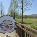 양평역 종합관광안내소 이미지