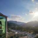 강릉애 진심 이미지