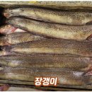 동해생선 이미지