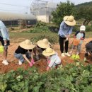 참솔영농조합 이미지