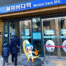 인천 가볼만한 곳 놀거리 월미바다열차 예약 주말 꿀팁