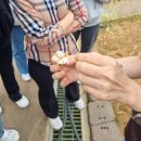 농업기술센터(자원봉사센터) | [인천서구가족센터]도시농업기술센터 방문기 / 서구자원봉사센터 가족봉사단 온가족나눔활동 지역아동...