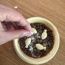 리틀포우 | 강아지유산균 리틀포우 트리플 바이오 컴플리트 후기