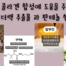 제이뉴스킨
