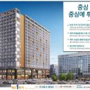 제주1번가
