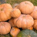 희망찬농장 이미지