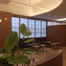 세브란스에스치과의원 이미지