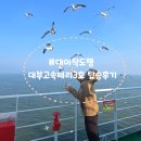 방아머리 | 대부도 방아머리 선착장에서 대이작도 가는 방법 및 대부고속페리 탑승 후기(ft.방아머리선착장 주차장)