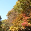 (주)천아