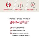 초록상어 이미지