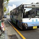 하단1동-4 이미지