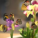 불노천자전거길 이미지