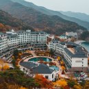 투유포유 | 강원도 고성·속초 숙소 추천 TOP 리조트 총정리