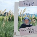 천일홍축제 | 서울근교 양주 나리농원 천일홍축제 나들이 후기