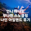 마리나아일랜드 | 여행후기 (7) 부나켄 스노클링 프리다이빙 후기｜나인아일랜드 시크릿샌드 투어 솔직후기 (feat. 인니...