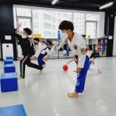 경희대효태권도 이미지